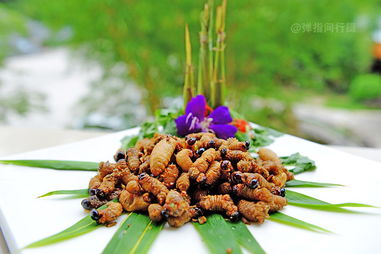 舌尖上的肇慶 地道農(nóng)副產(chǎn)品零食的味蕾盛宴