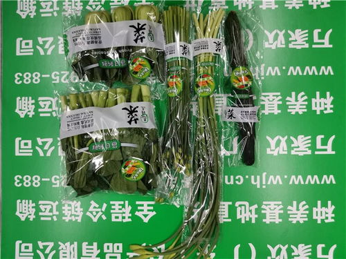 海珠農副產品公司發(fā)布萬家歡谷物最新報價，助力市場供需平衡